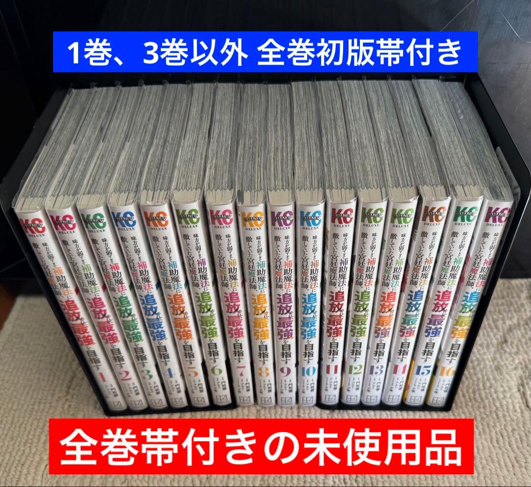 味方が弱すぎて補助魔法に徹していた宮廷魔法師、追放されて最強を目指す全巻1~16