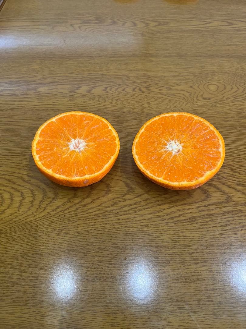 津之輝　Ｌ秀品 10キロ入