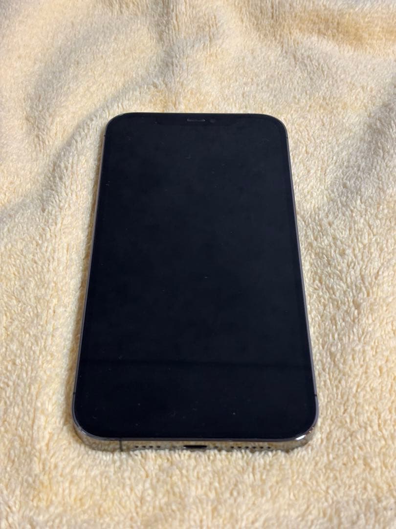 Apple iPhone 12 Pro Max グラファイト 256GB