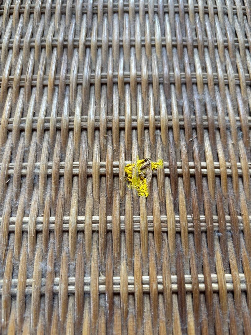 ラタン製 5段チェスト ナチュラル