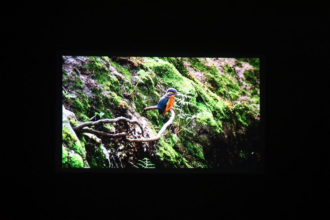 XGIMI MoGo Pro＋ モバイルプロジェクター 定価80,080円