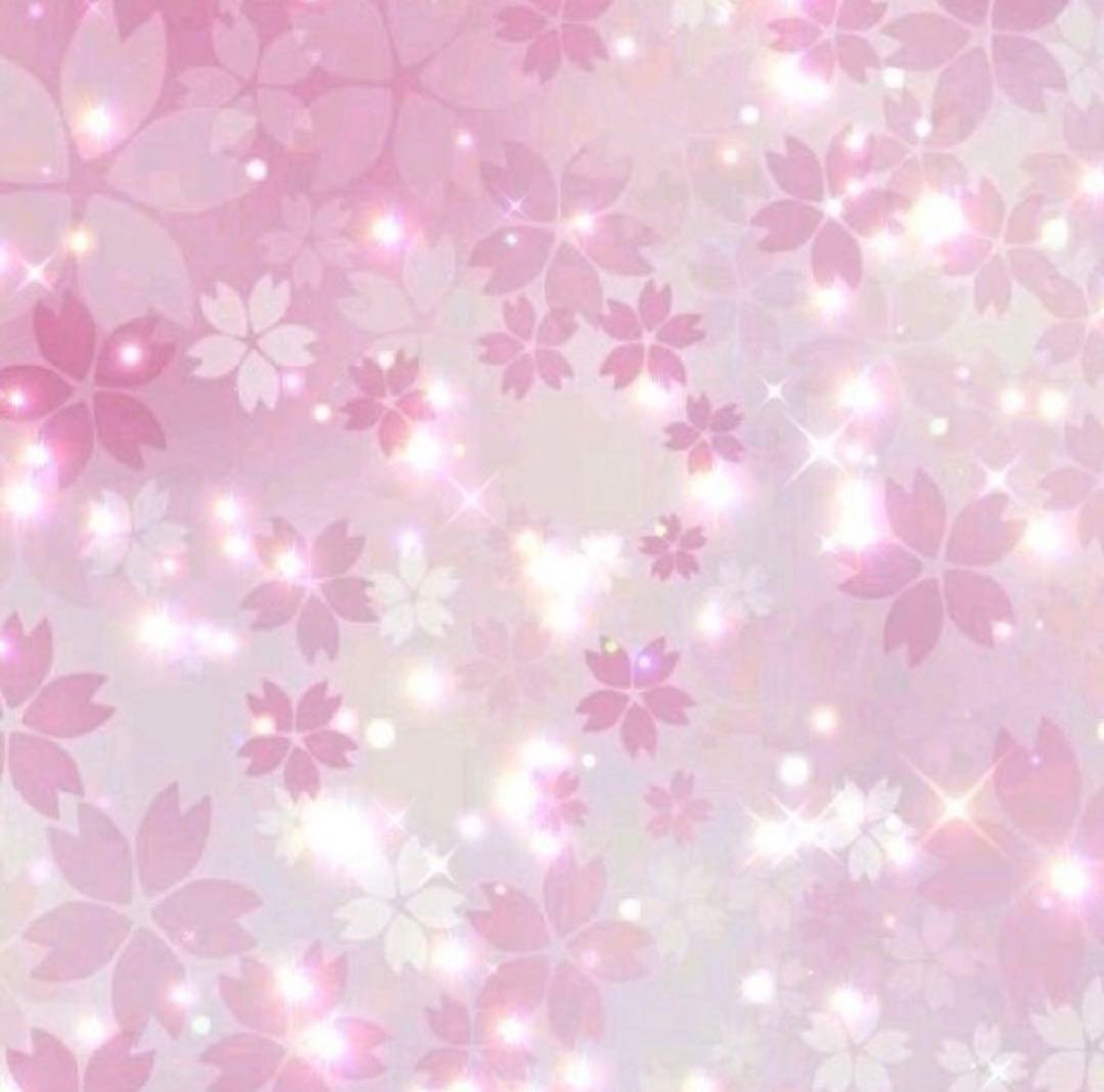 北海道限定♬︎♡カマンベールチーズ入りチーズいか