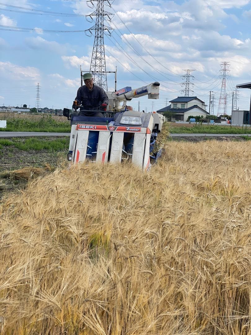 送料込み！10kg もち麦　キラリモチ　大麦　健康