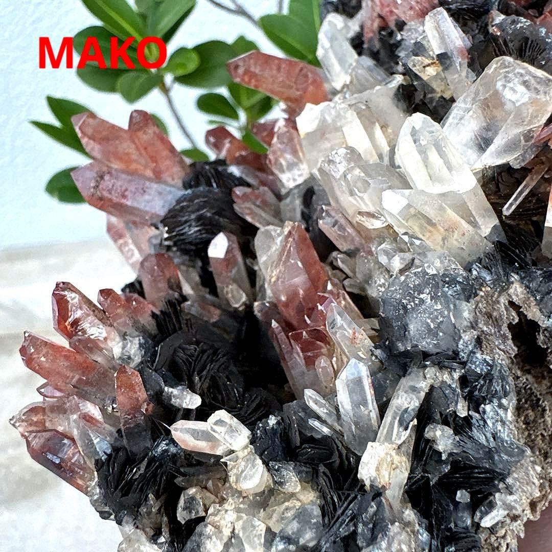 M1794☆アイアンローズ共生赤水晶クラスター1.7Kg☆広東省産☆N20720