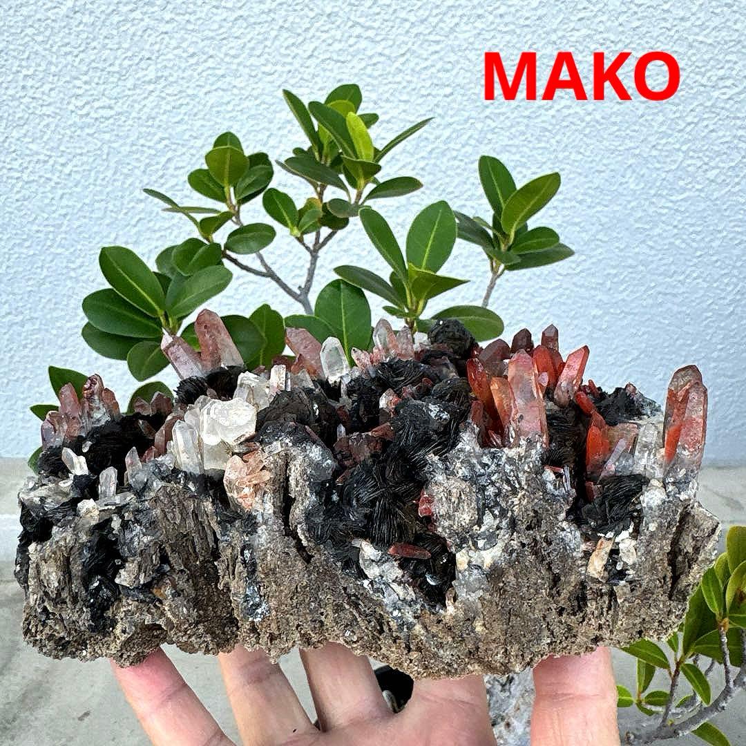 M1794☆アイアンローズ共生赤水晶クラスター1.7Kg☆広東省産☆N20720