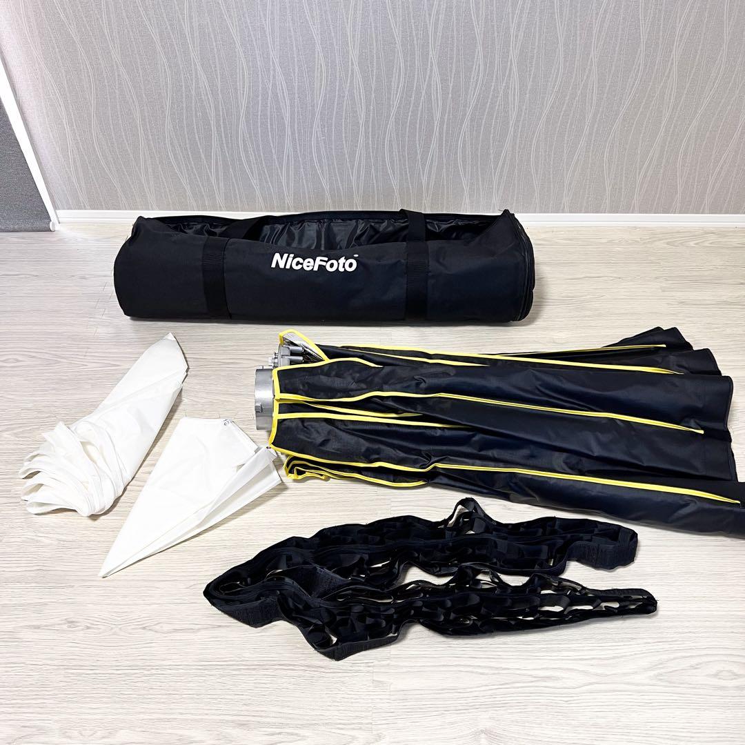 ソフトボックス＆スタンド付きAputure C120dII 動画撮影用ライト