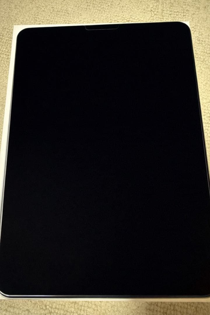 iPad pro 11インチ256GB WiFiモデル Appleペンシル