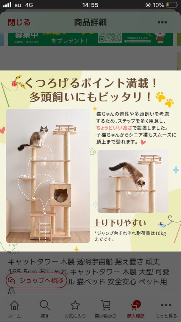 木製キャットタワー 165.5cm/seira