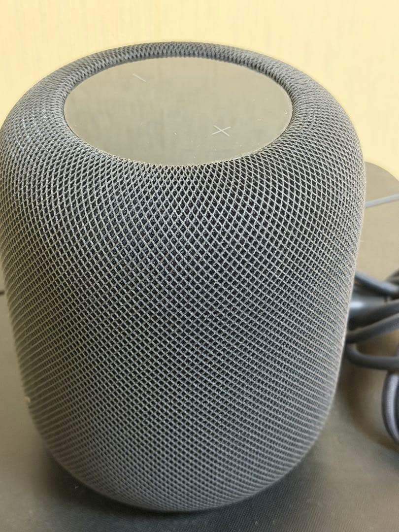Apple Pod（第1世代）スペースグレイ