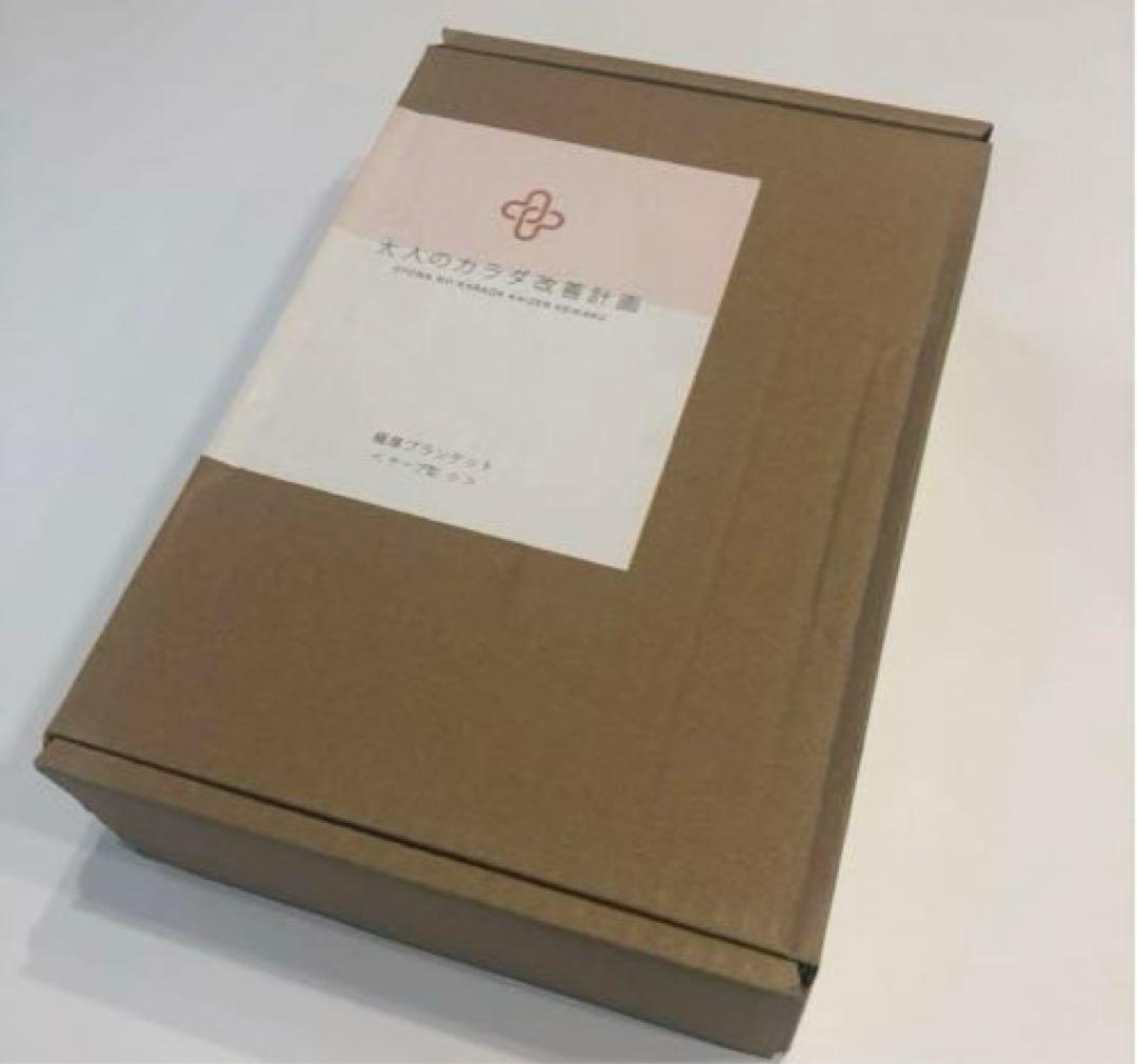 大人のカラダ改善計画 極厚ブランケット ケープ型 小 ブラウン