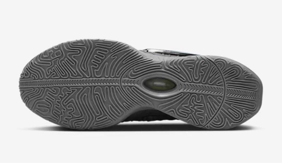 【新品】NIKE ナイキ　レブロン21EP 25cm