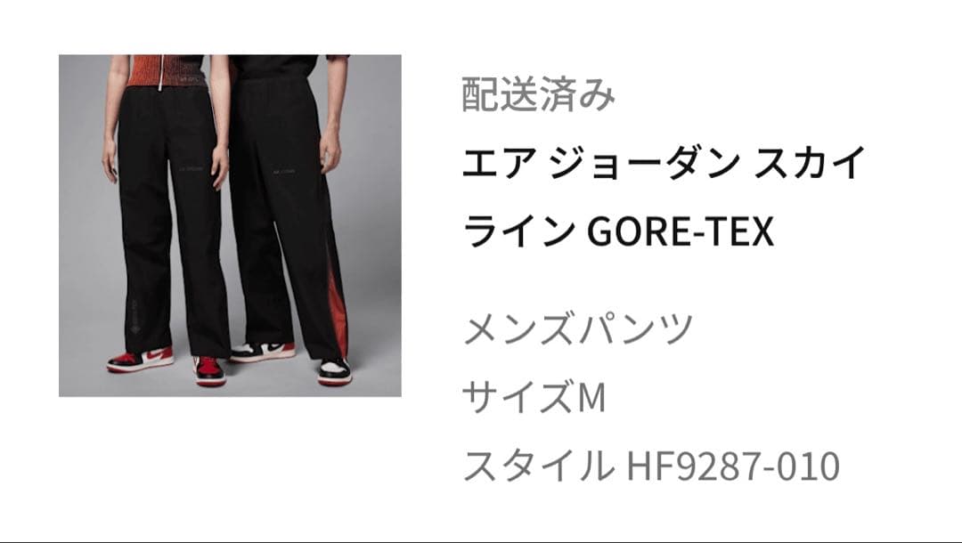 Nike エアジョーダン スカイライン GORE-TEX メンズパンツ