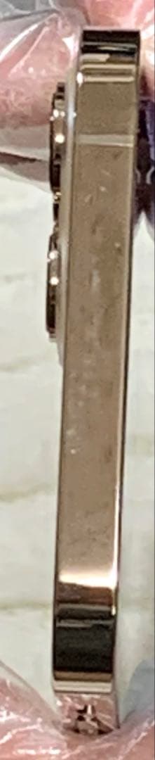 iPhone 12Pro max本体