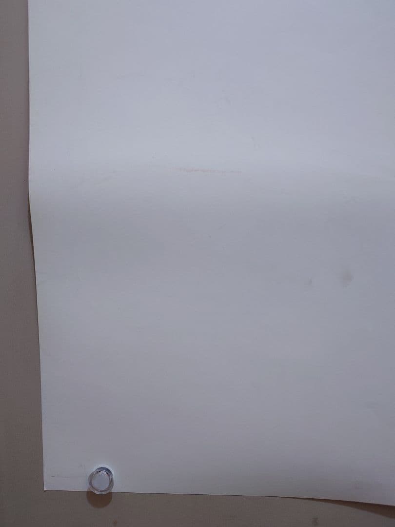 【レア】ONE PIECE　ワンピース　オマツリ男爵と秘密の島　ポスター　東映