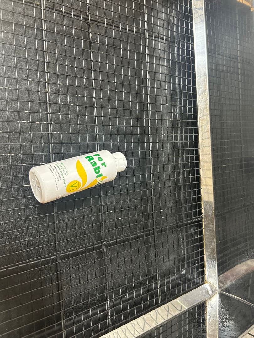 プロゲージ　うさぎのしっぽ　60 うさぎゲージ