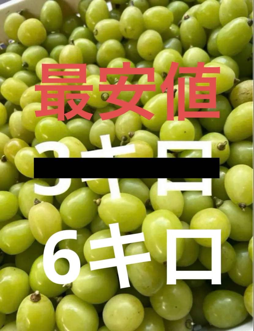 はしゅゆ395 6キロ