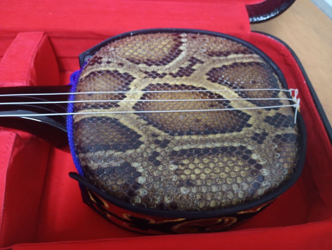 三線本体 ヘビ革 黒