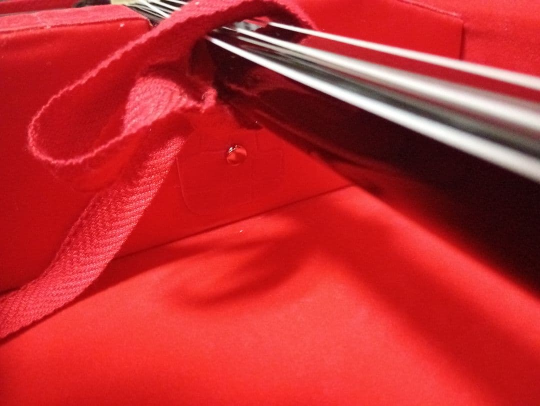 三線本体 ヘビ革 黒