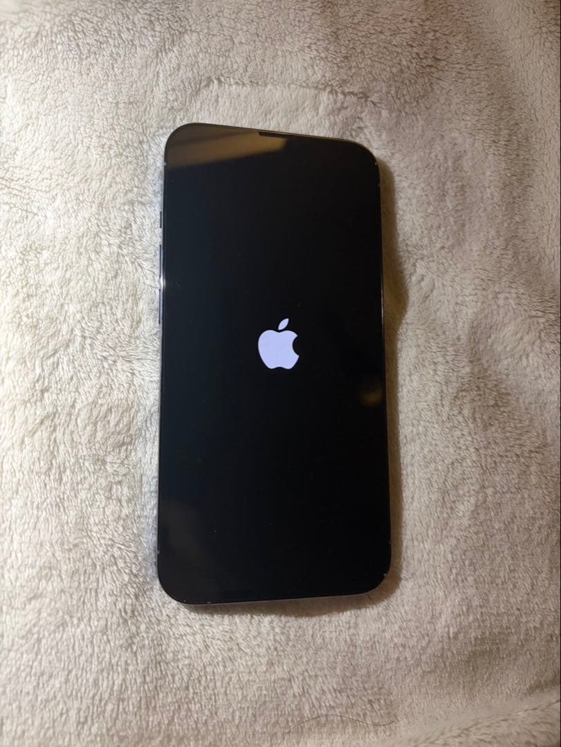 Apple iPhone 13 Pro シエラブルー