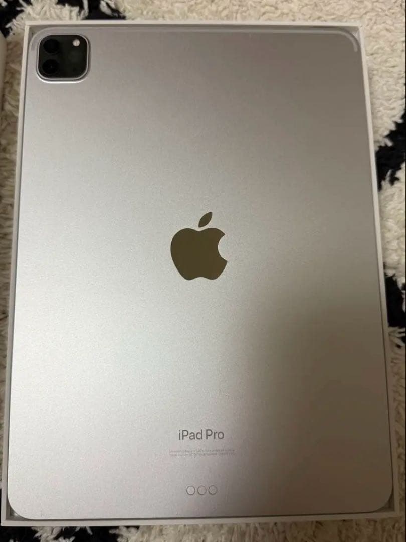 2022 Apple 11インチ iPad Pro (Wi-Fi, 128GB)