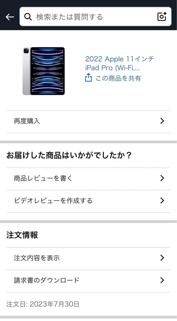 2022 Apple 11インチ iPad Pro (Wi-Fi, 128GB)