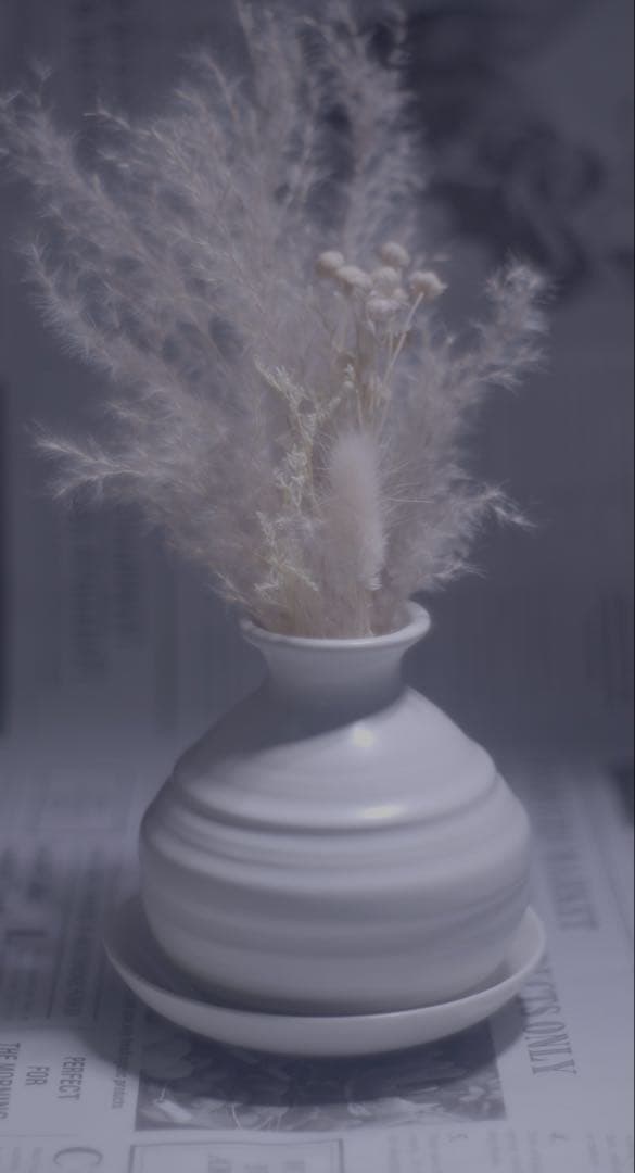 レンズ(単焦点) Mayer optik gorlitz Domiron 50mm f2 m42