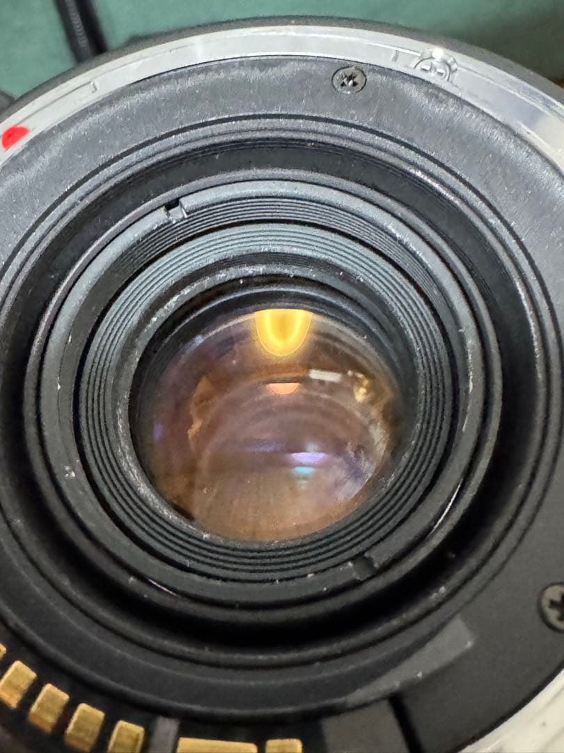 【AF動作・作例あり】 シグマAPO 170-500mmF5-6.3キャノン用