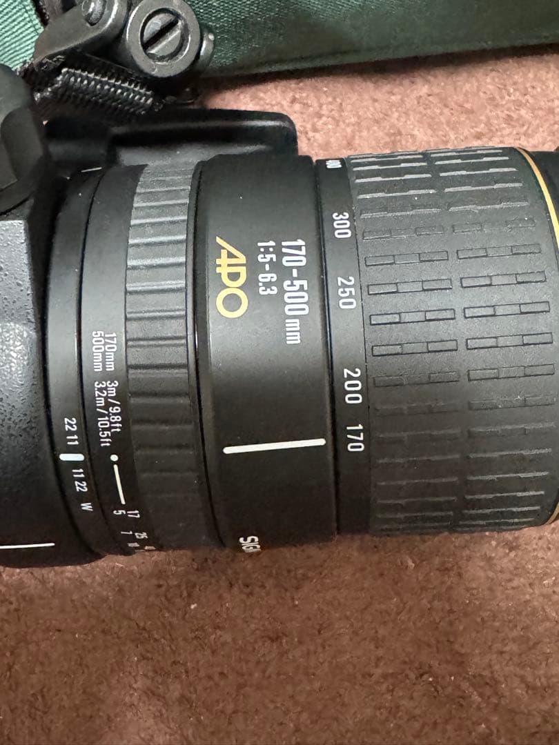 【AF動作・作例あり】 シグマAPO 170-500mmF5-6.3キャノン用