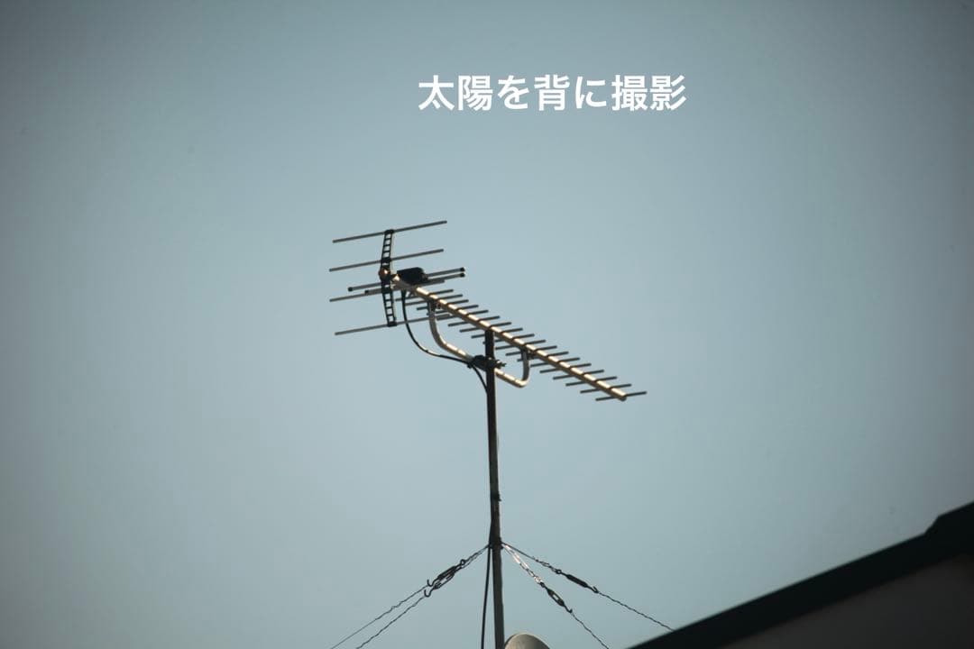 【AF動作・作例あり】 シグマAPO 170-500mmF5-6.3キャノン用