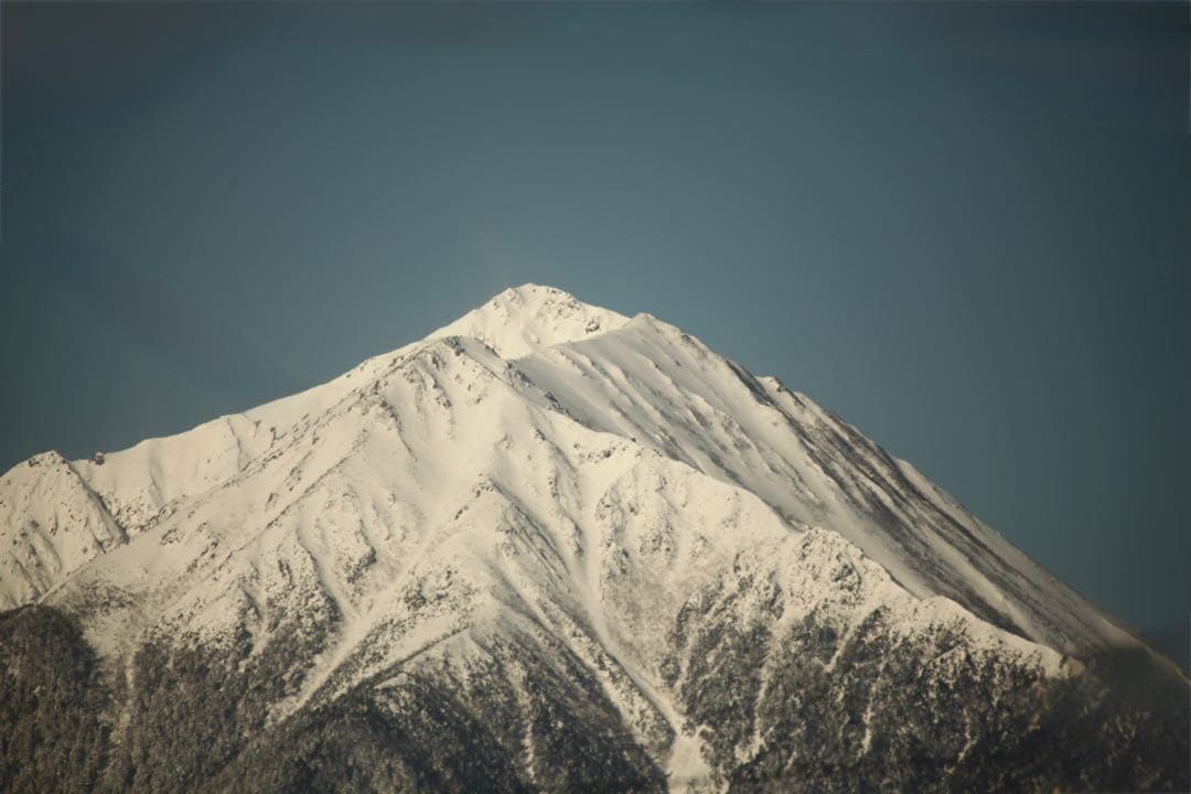 【AF動作・作例あり】 シグマAPO 170-500mmF5-6.3キャノン用