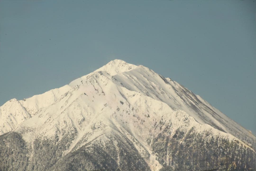 【AF動作・作例あり】 シグマAPO 170-500mmF5-6.3キャノン用