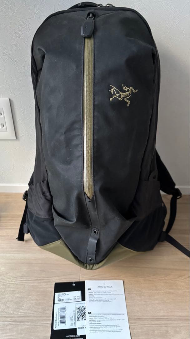 バッグ Arro 22 Backpack Wildstone