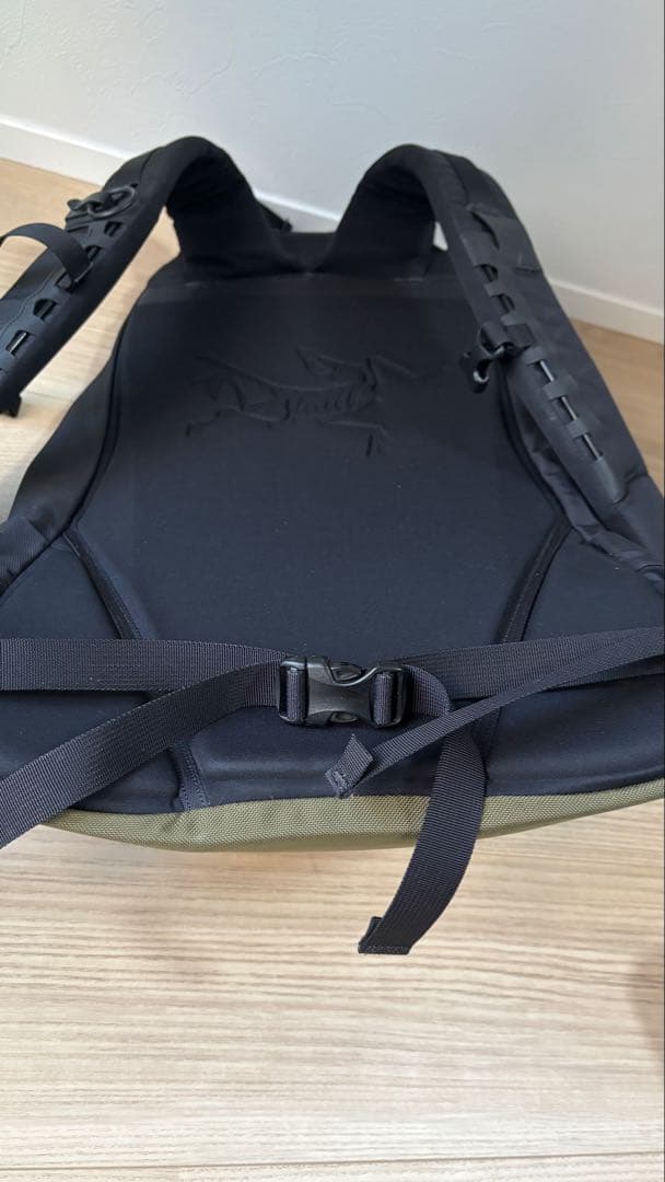 バッグ Arro 22 Backpack Wildstone