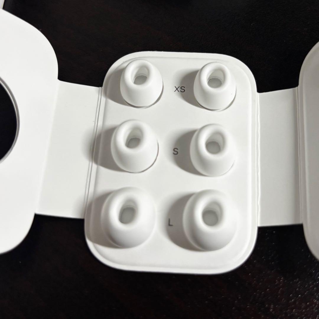 イヤホン AirPods Pro2 Lightning