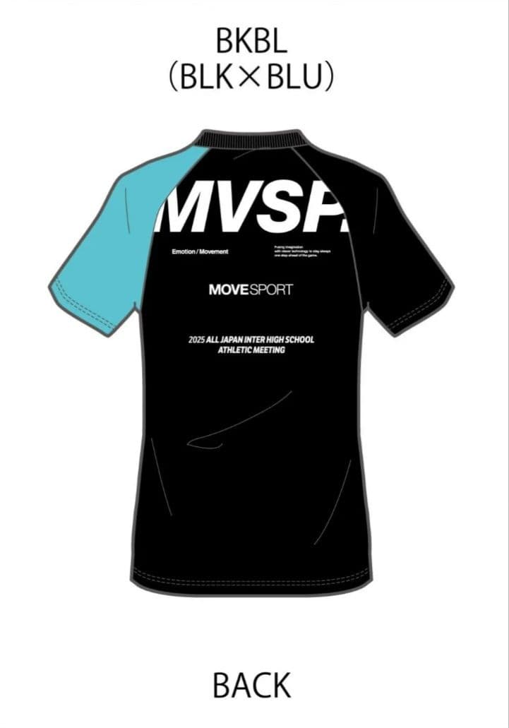 カ*イ様 デサント　インターハイ　シャツ