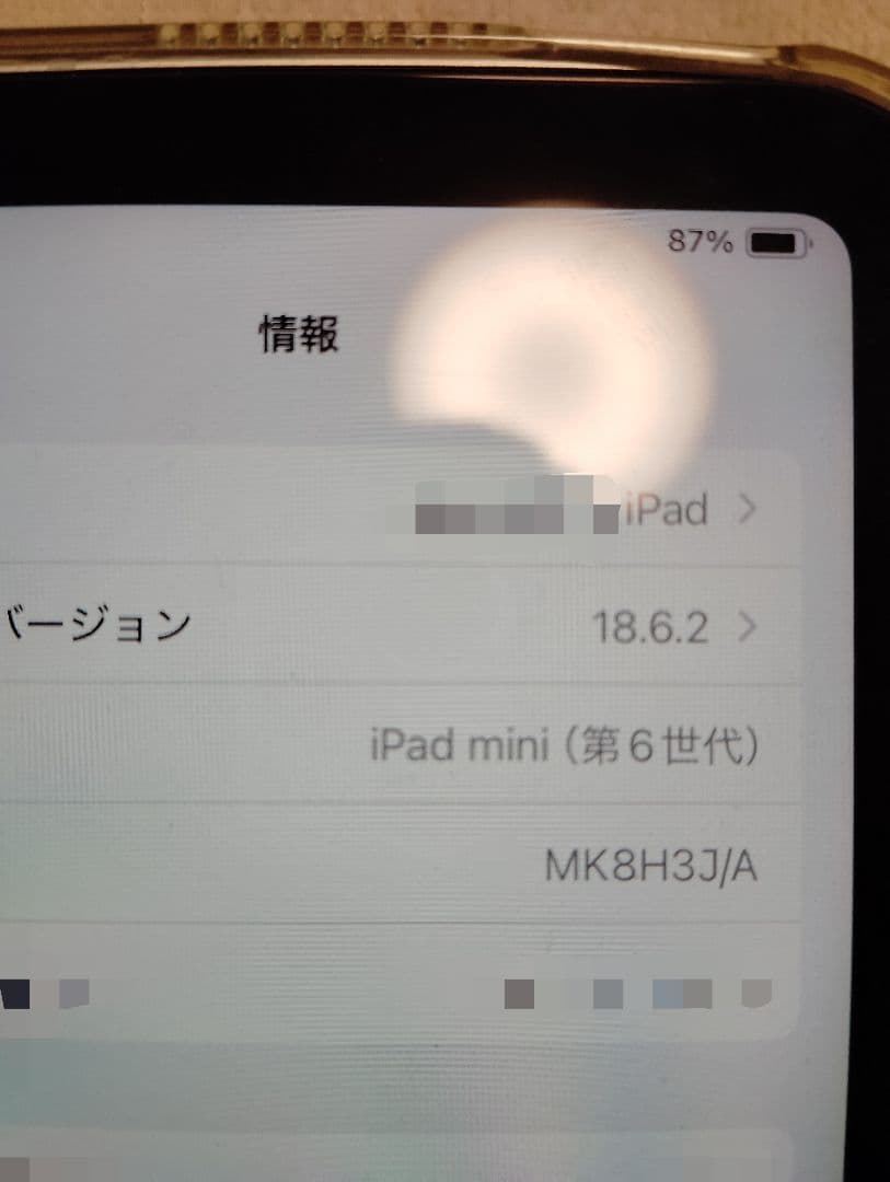 Apple iPadmini第６世代　中古美品
