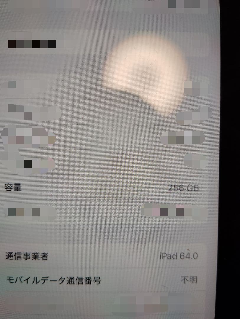 Apple iPadmini第６世代　中古美品