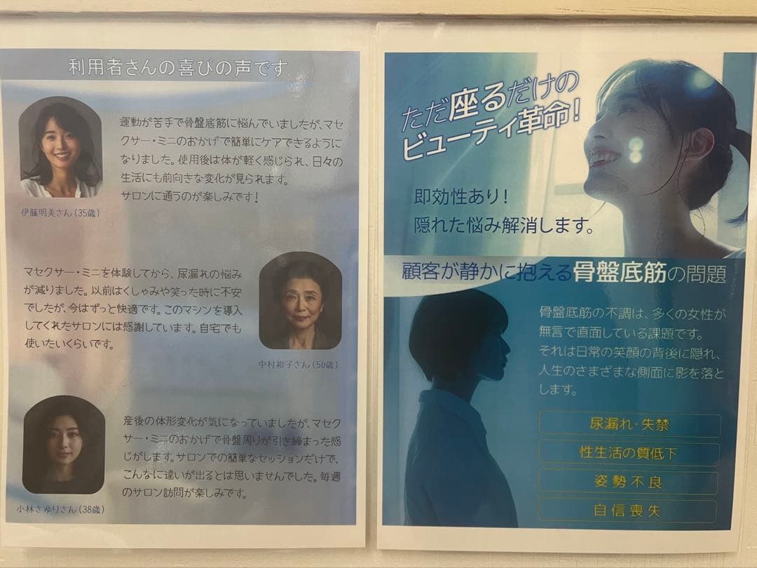 電磁パルス骨盤底筋マシーン　マクセサーミニ