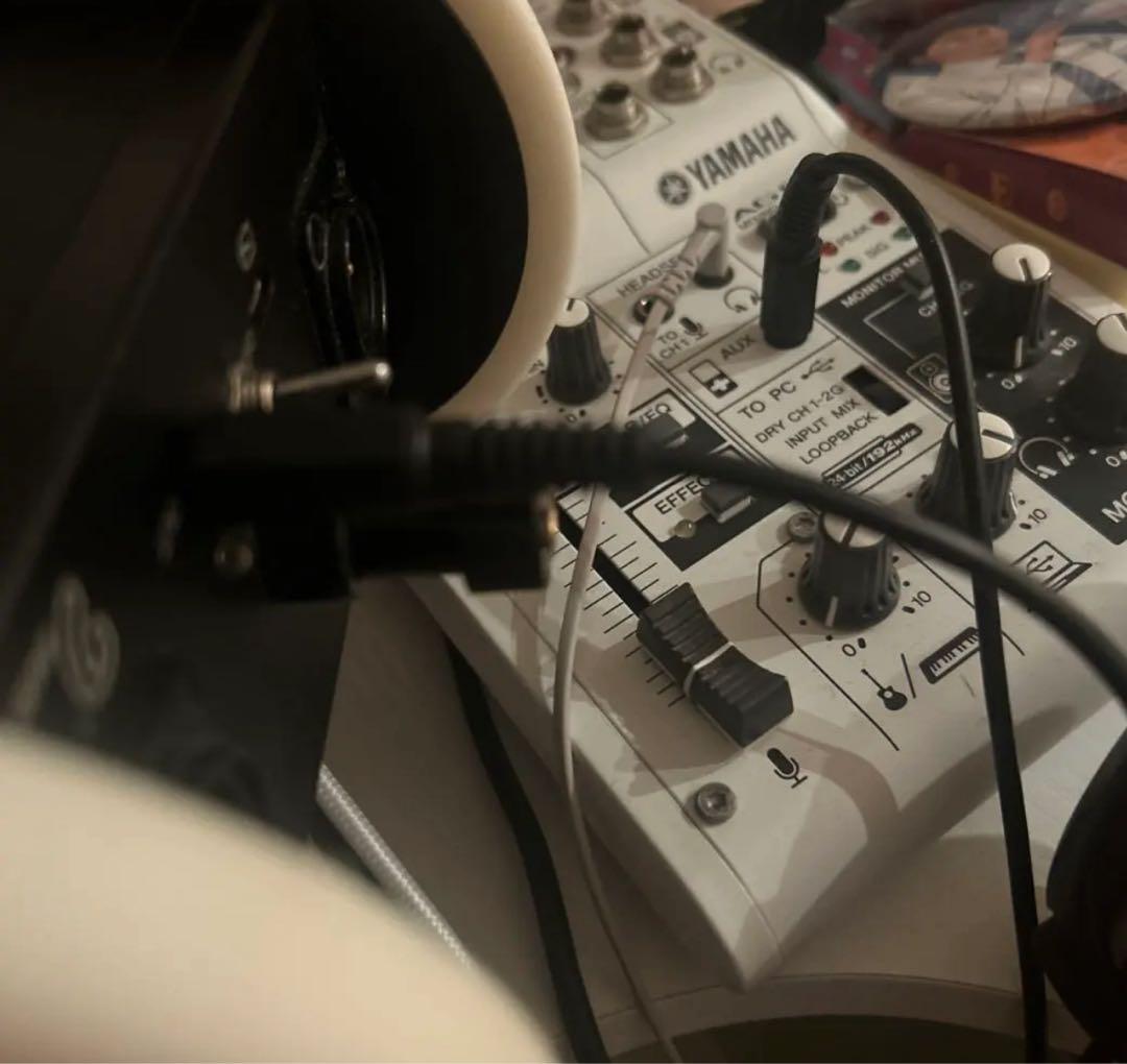 【早い者勝ち大特価】バイノーラルマイクセット 耳型デザイン ASMR