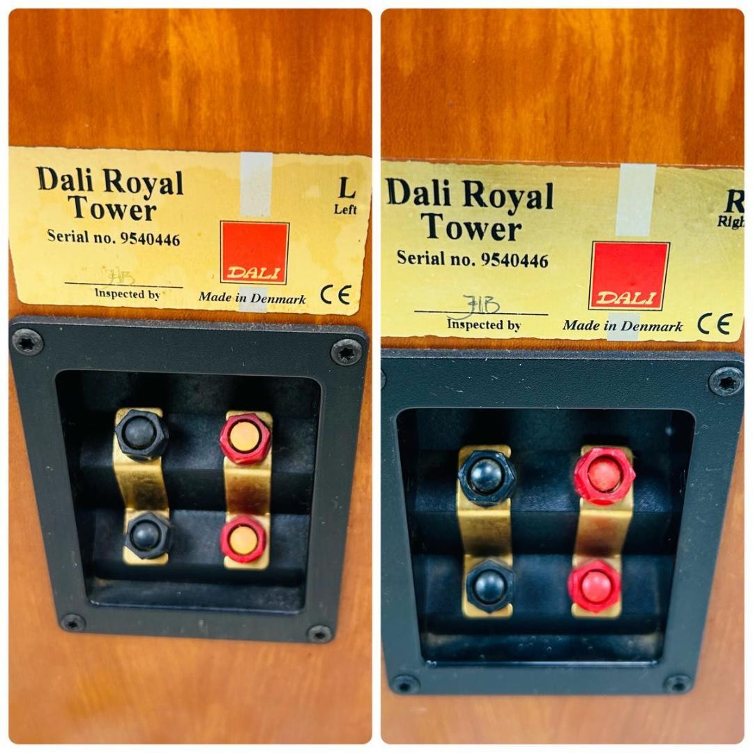 DALI  Tower トールボーイ ペアスピーカーオーディオ機器