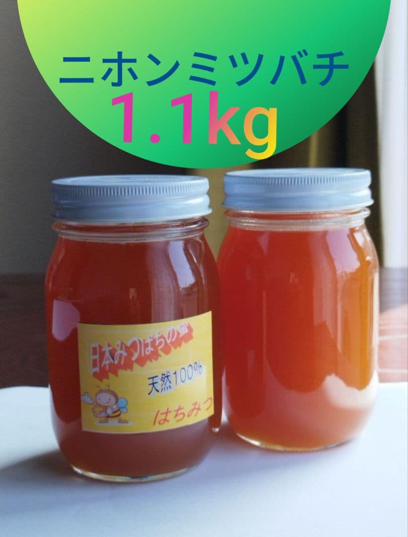 国産はちみつ、ニホンミツバチ、合計1.1kg