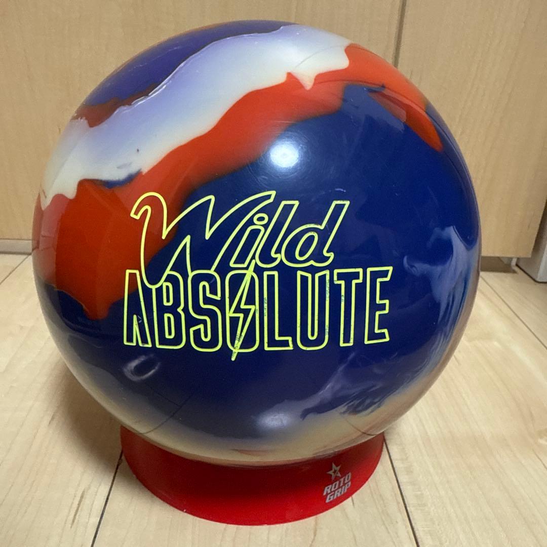 【新品未使用】STORM ストーム ワイルドアブソリュート 15ポンド