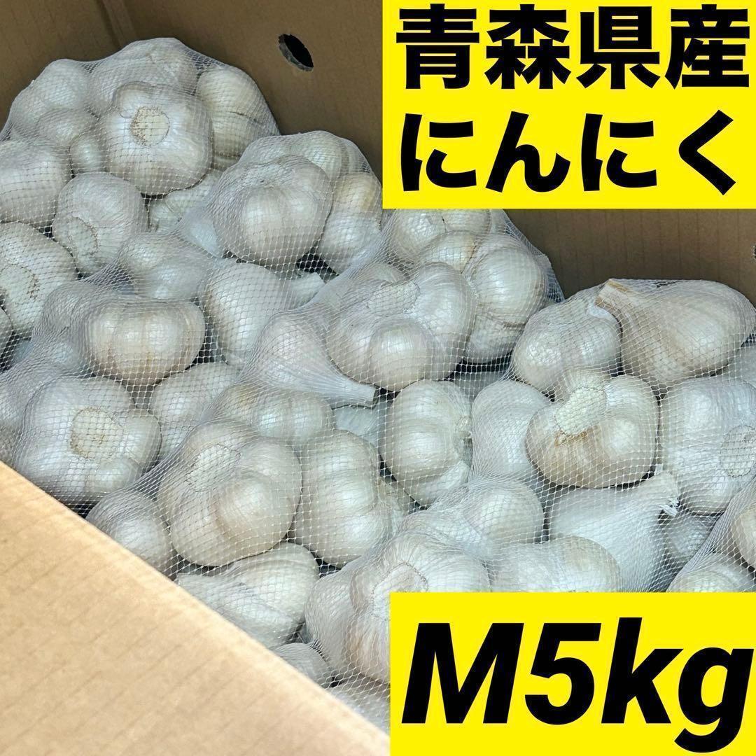 【お買い時】青森県産にんにく M 5kg 福地ホワイト六片 激安 家庭用 加工用