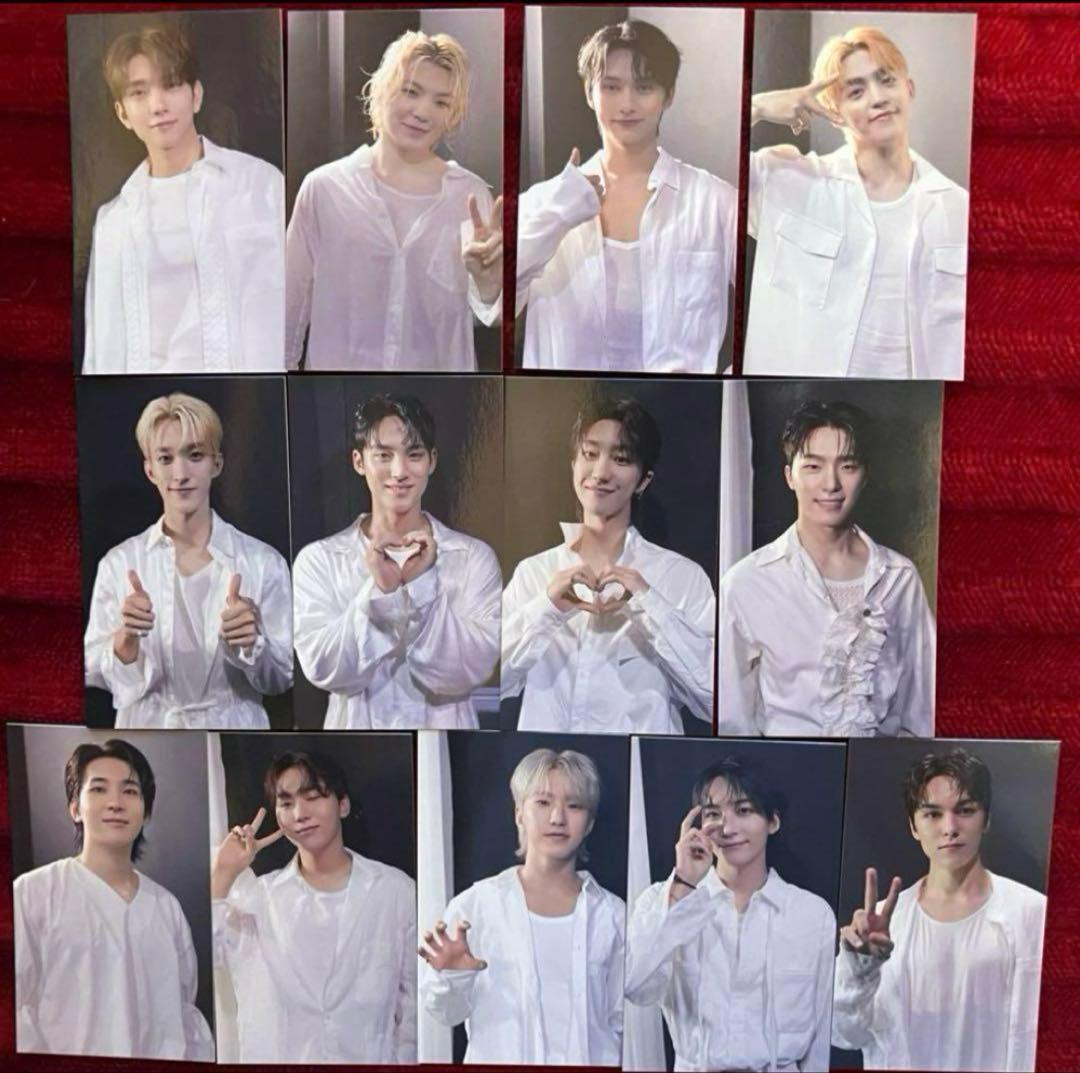 SEVENTEEN TSUTAYA standard 特典　13種　コンプ