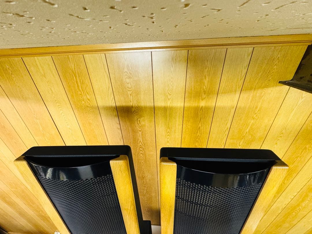 MARTIN LOGAN AERIUS スピーカーペア マーチン ローガン