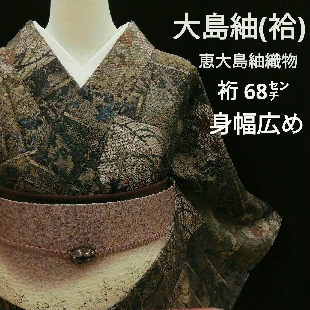 本場大島紬(袷)　(四季の草花紋様　恵 積五郎(絣の魔術師)　裄68㌢身幅広め)