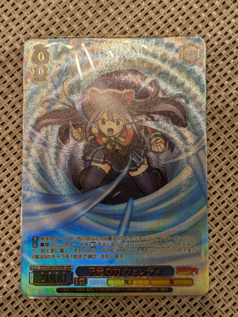 WS 天竜の力　ウェンディ　SSP