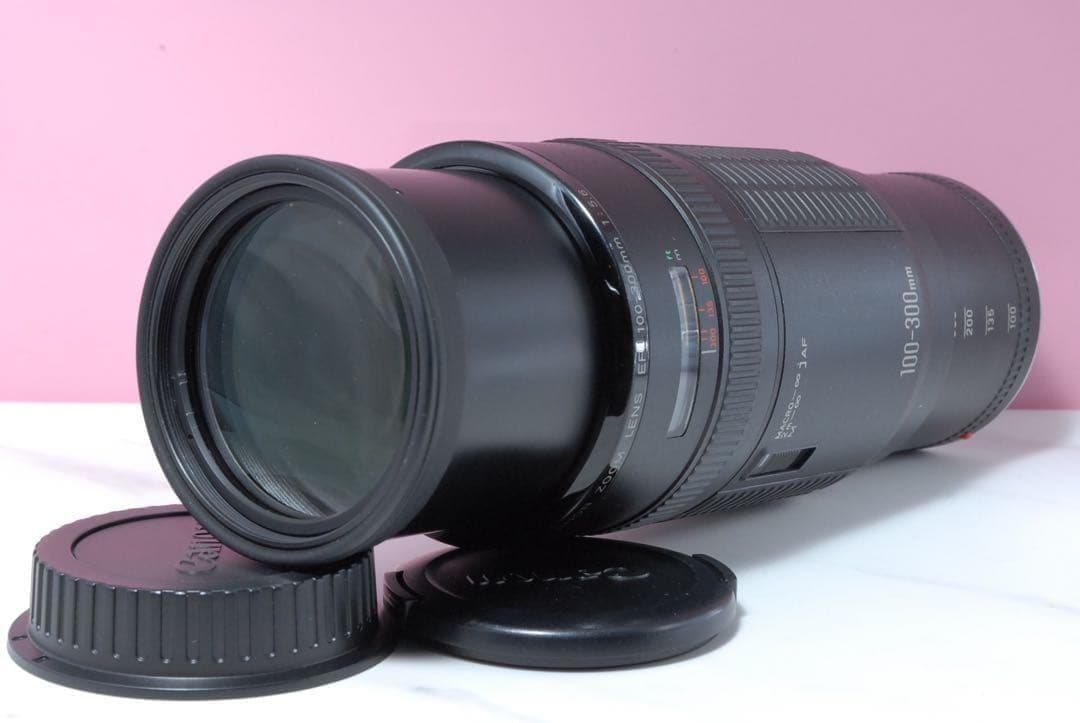 最終価格✨美品✨Canon EF 100-300mm 超望遠ズームレンズ