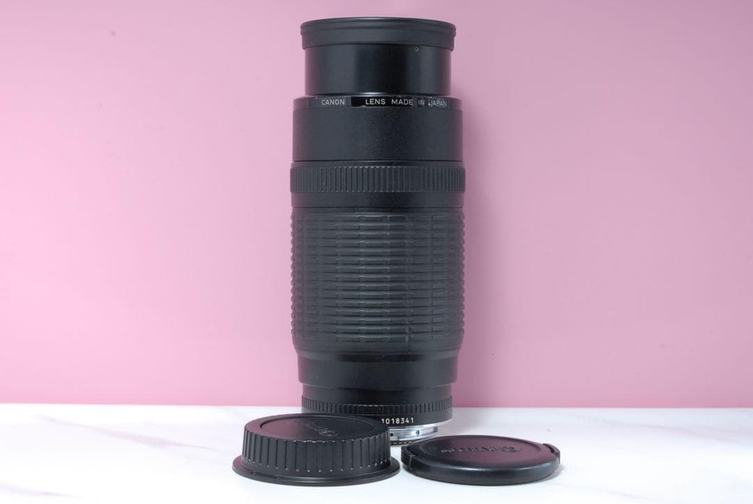 最終価格✨美品✨Canon EF 100-300mm 超望遠ズームレンズ