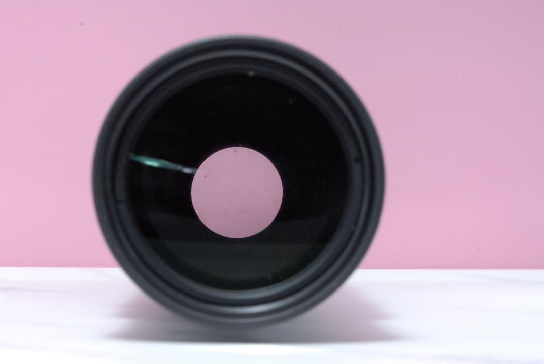 最終価格✨美品✨Canon EF 100-300mm 超望遠ズームレンズ